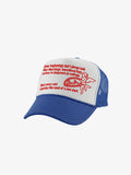 Friend From The Sky Trucker Hat